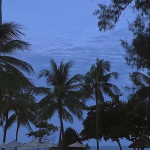 在厨房里脱麻麻的内裤
